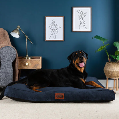 Paws for Slumber Raised Padded Dog Bed