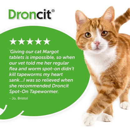 Droncit Spot on Wormer for Cats 4 Pipettes - 4 Month Tapeworm Worming Treatment