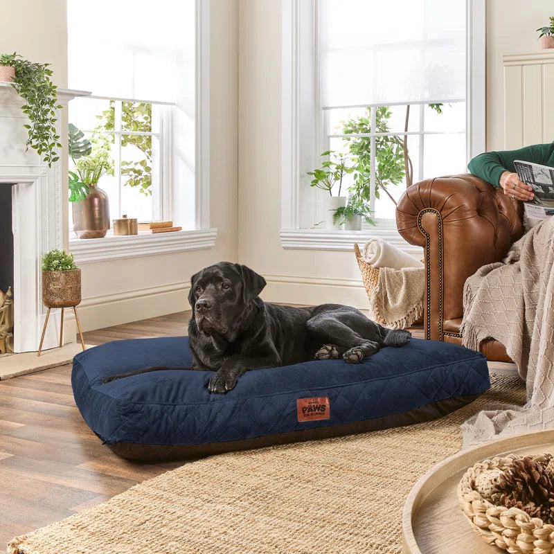 Paws for Slumber Raised Padded Dog Bed