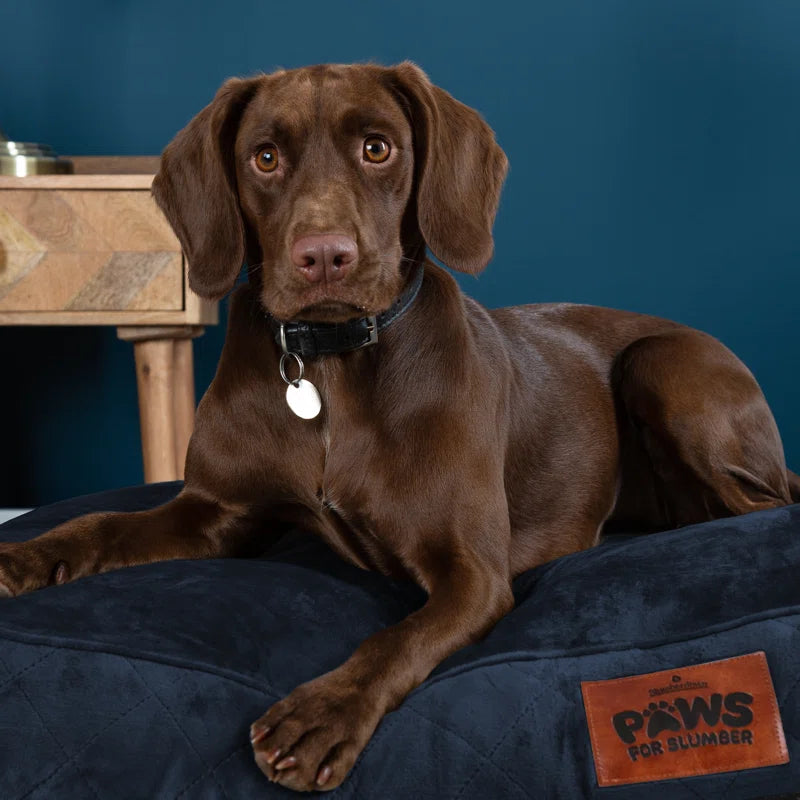 Paws for Slumber Raised Padded Dog Bed