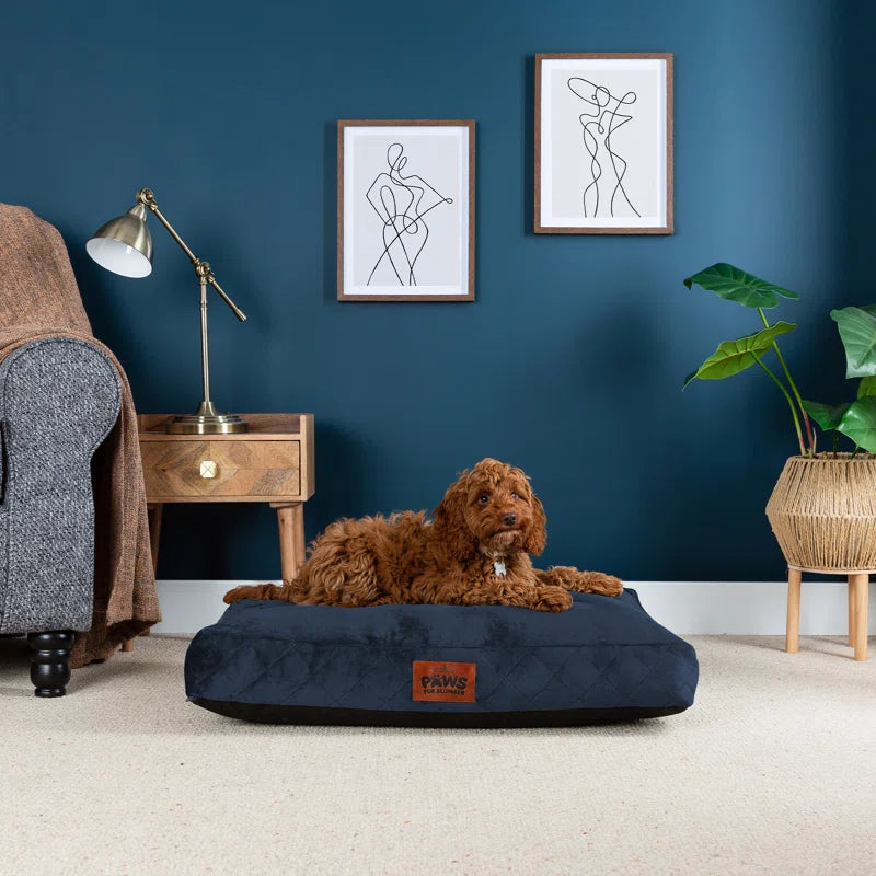 Paws for Slumber Raised Padded Dog Bed