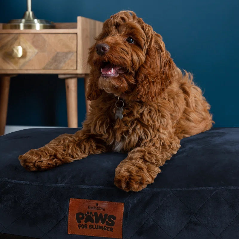 Paws for Slumber Raised Padded Dog Bed