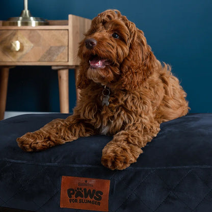 Paws for Slumber Raised Padded Dog Bed