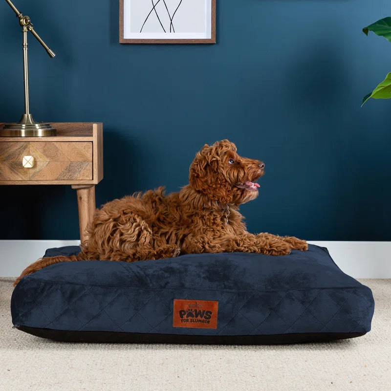 Paws for Slumber Raised Padded Dog Bed