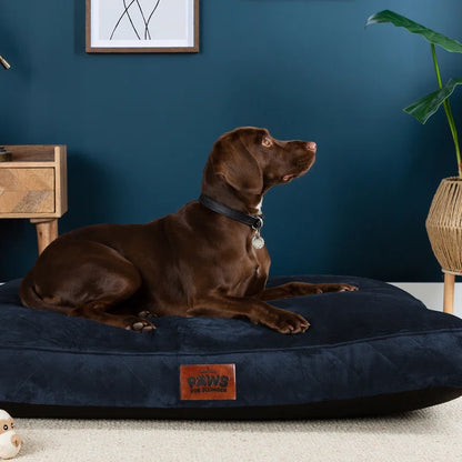 Paws for Slumber Raised Padded Dog Bed