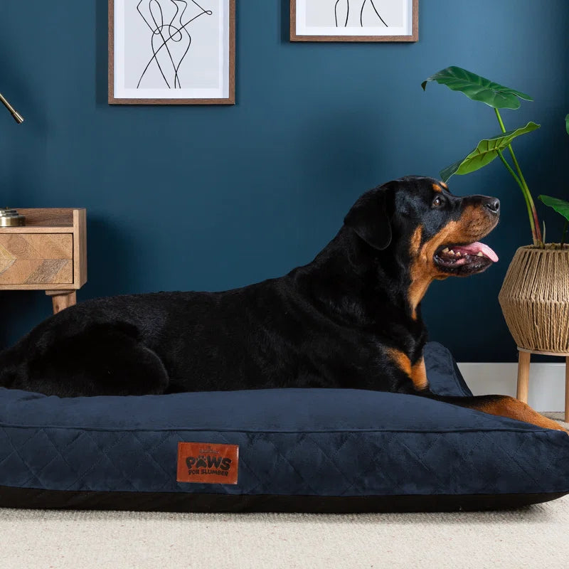 Paws for Slumber Raised Padded Dog Bed