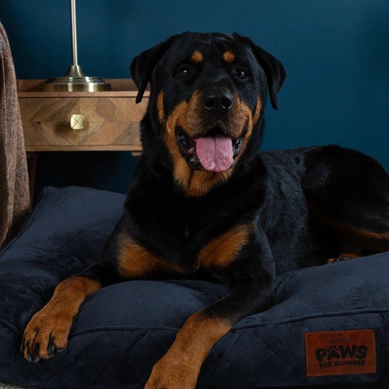 Paws for Slumber Raised Padded Dog Bed